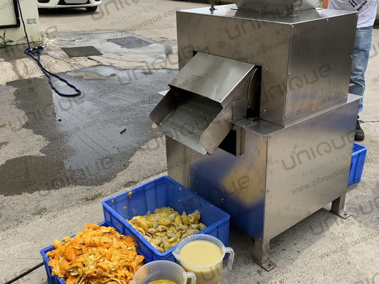 アナナストマトジュース用の自動ステンレス鋼304電気果物抽出機