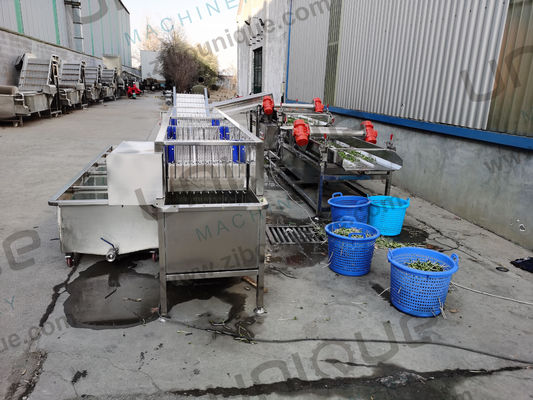 デザイン アルファファ / マイクログリーン 野菜泡洗濯機 食品飲料店