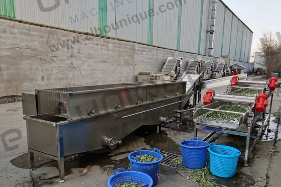 デザイン アルファファ / マイクログリーン 野菜泡洗濯機 食品飲料店