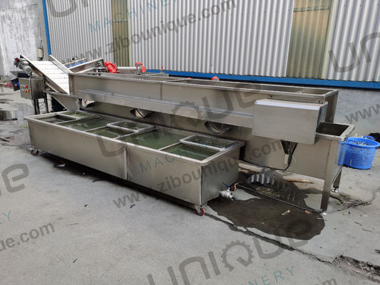 デザイン アルファファ / マイクログリーン 野菜泡洗濯機 食品飲料店