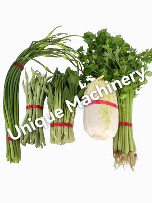 小売 野菜セラー 葉豆 多用途テープ 包装機