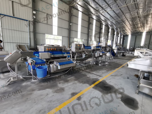 プロサラダの葉とハーブをカットする機械