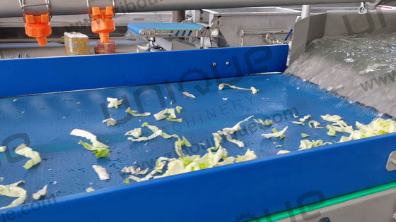 野菜洗濯機 2200 KG 葉緑の切り機と商業用フルーツサラダ