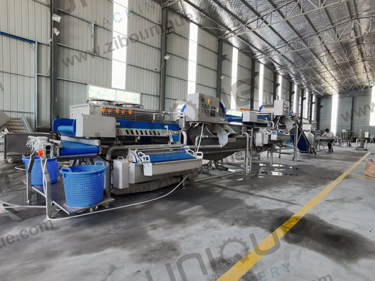 サラダ加工が簡単になりました 野菜洗濯機 ベビースパナチ レタス カブス