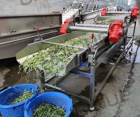 シボニック 5900*1760*1600mm マング・ビーンの芽の皮を外し,皮を剥がす機械