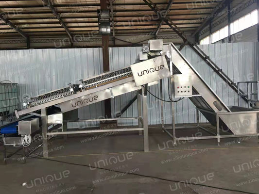 300 kg/h 容量 最先端の洗浄システム付きのキャベツ皮剥き機