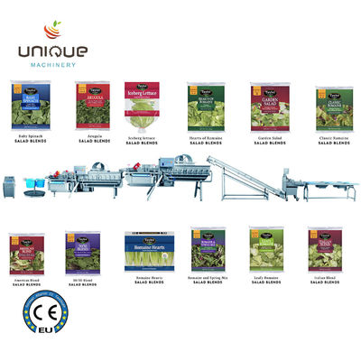 サラダ加工が簡単になりました 野菜洗濯機 ベビースパナチ レタス カブス