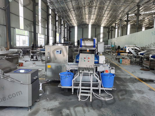 サラダ加工が簡単になりました 野菜洗濯機 ベビースパナチ レタス カブス