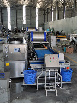 サラダ加工が簡単になりました 野菜洗濯機 ベビースパナチ レタス カブス