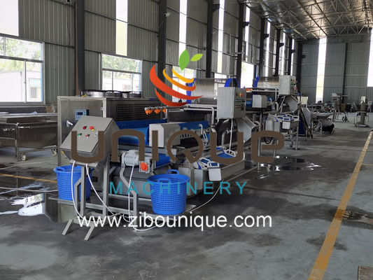 商業用 緑茶洗浄ライン ミャンマー シアブニークから茶葉加工