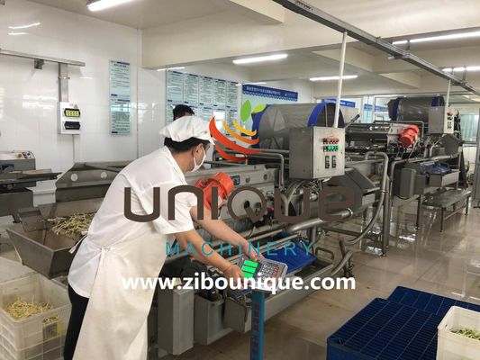 商業用 緑茶洗浄ライン ミャンマー シアブニークから茶葉加工