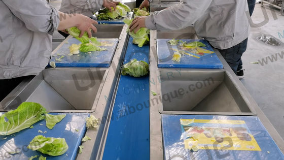 2021 スタイル 野菜 果物 ヘリックス 洗濯加工ライン 商業用