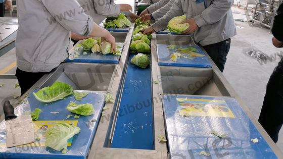 果物・野菜・野菜サラダ洗浄ライン 処理効率5000kg