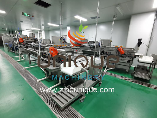 果物・野菜・野菜サラダ洗浄ライン 処理効率5000kg