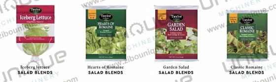 2000 kg/h 容量 野菜と果物の洗濯機