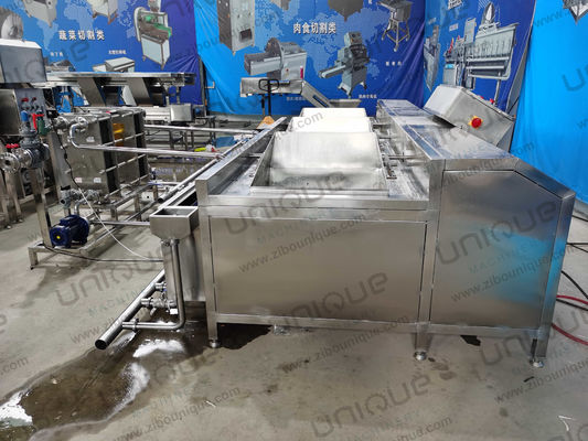 オーダーメイド電圧の果物・野菜洗濯機を直接販売しています