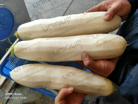 強力なステンレススチール304 モーリ・ピラー・マシン キムチ・ダイコン加工用