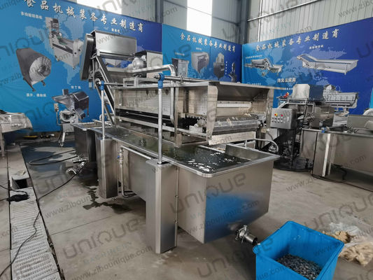 製造工場生産のための容量850KGの葉野菜泡洗浄ライン