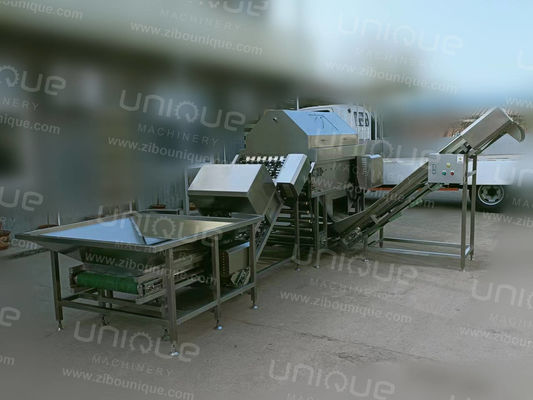 工業用304ステンレス鋼の洋?? 剥き機 3kWの電力と380Vの電圧