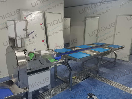 2021 商業用806 葉野菜の切断機と自動切断機