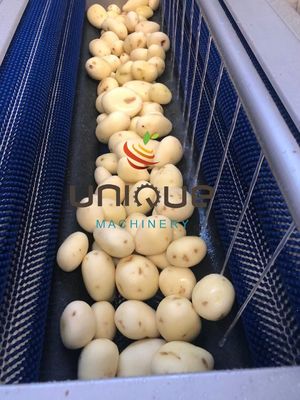 1.75 kw 簡単操作 ジンジャー キャロット ポテト ブラシ ローラー 洗濯機 ルーツ 野菜 洗濯機