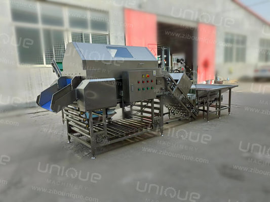 大規模生産のための高圧空気洋洋?? 皮加工ライン2000kg/h