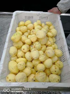 商用用用 ウォルテージ 220v/380v/カスタマイズ