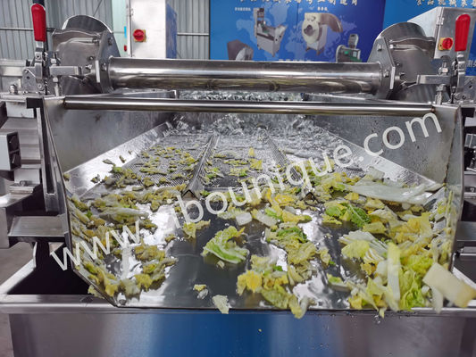 ステンレス・スティール 4.4KW 野菜とサラダの消毒用キャベツ洗濯機