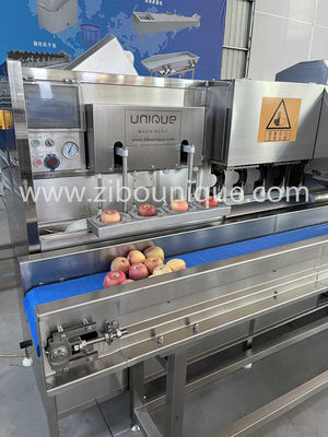 カスタマイズされた電圧304ステンレス鋼 リンゴと梨の皮とコーリング切断機