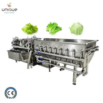 果物・野菜洗浄機 新鮮な氷山レタスの洗浄機